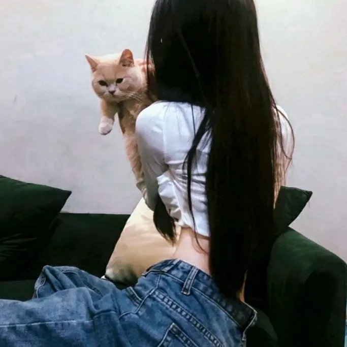 伯尼