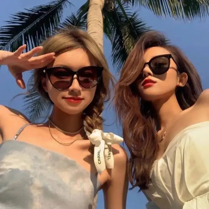 玫瑰的战争